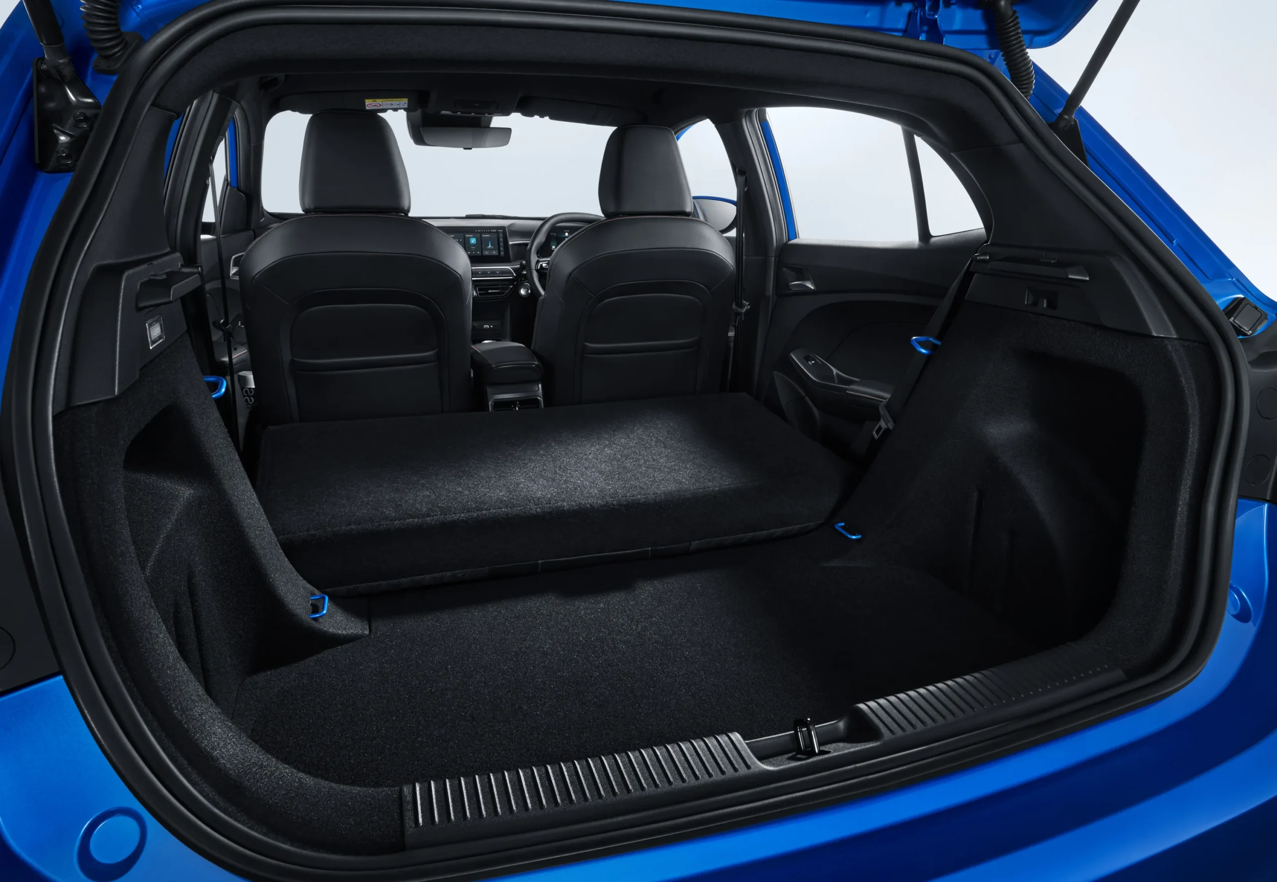 Trunk-1
