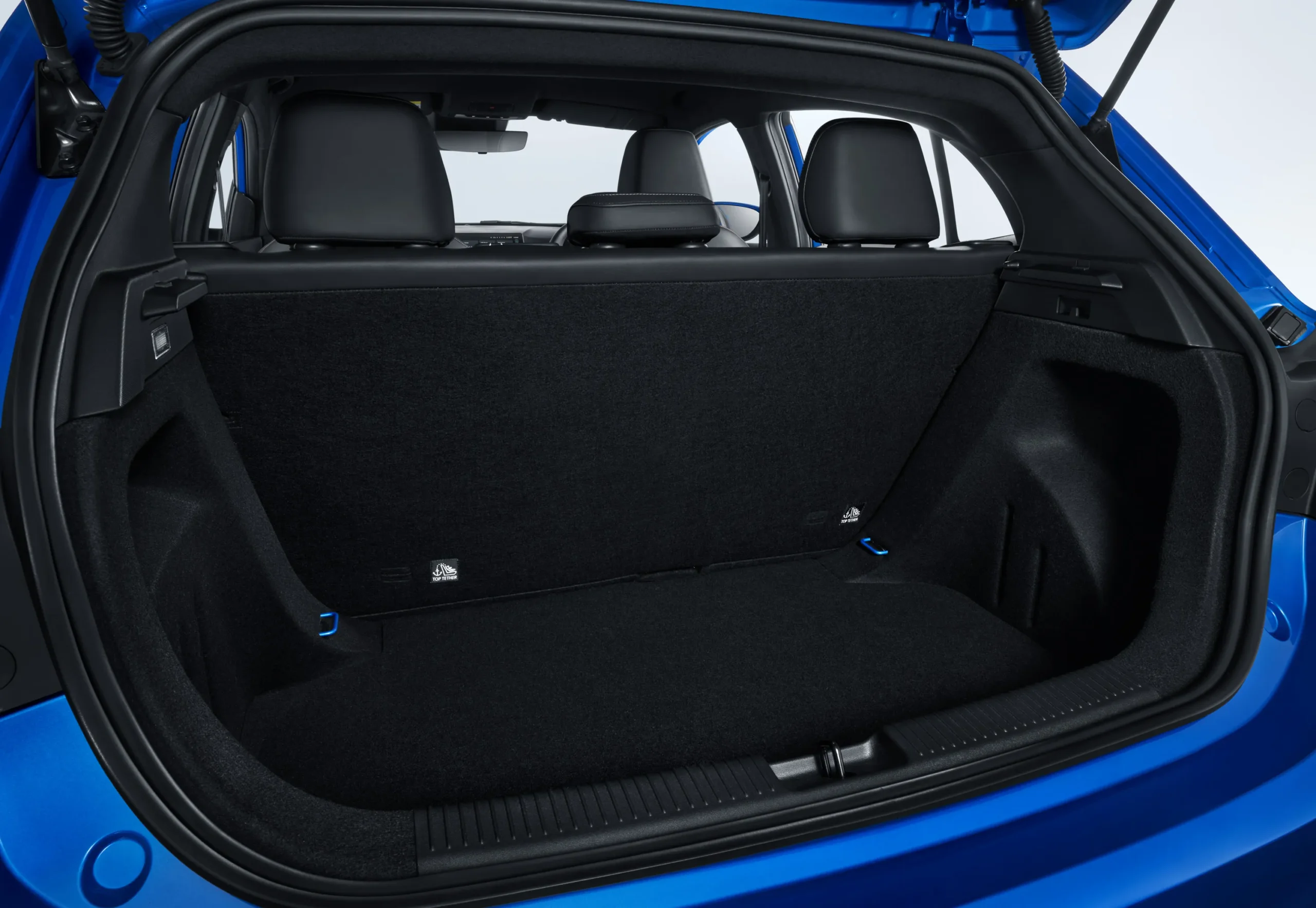 Trunk-2