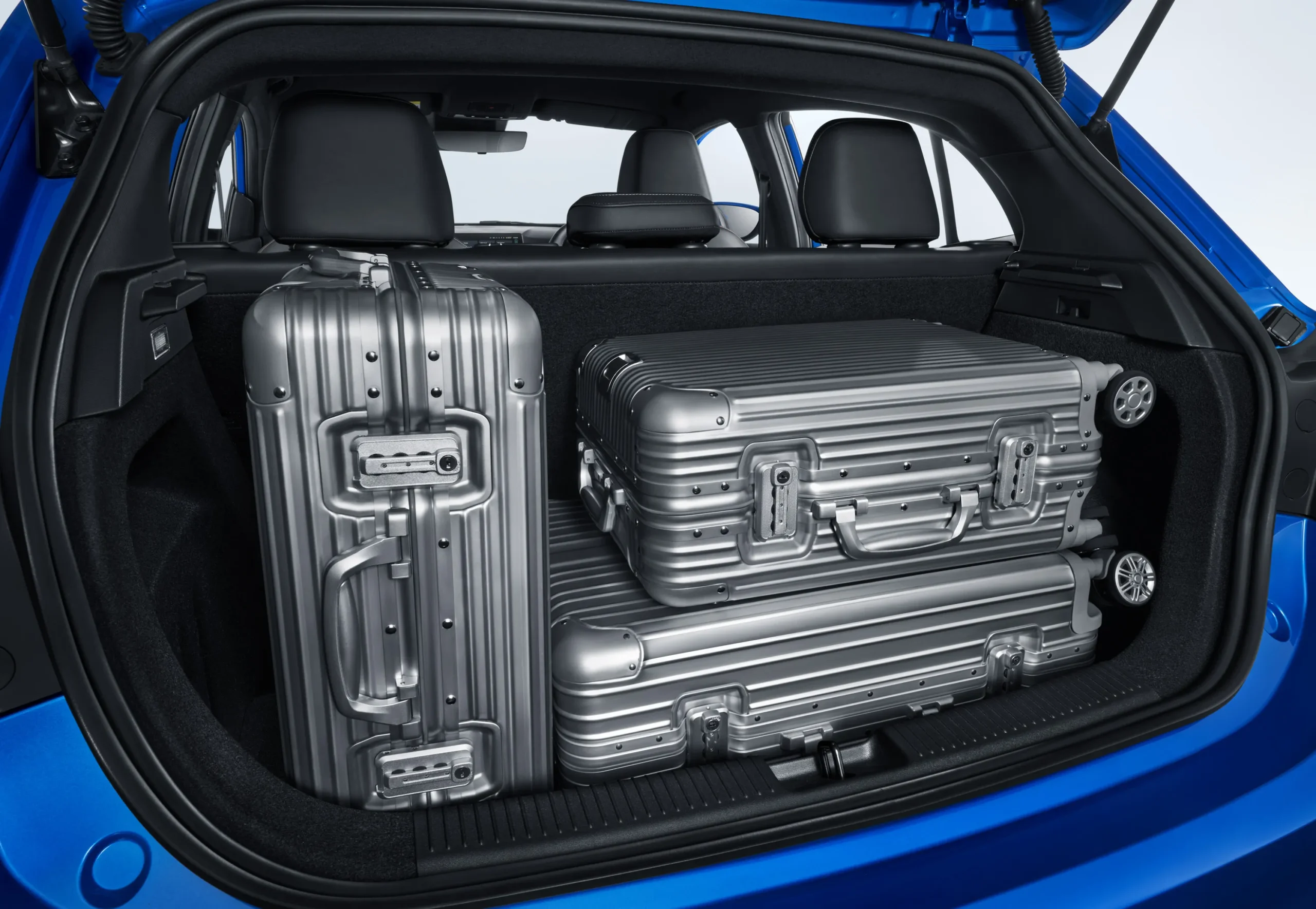 Trunk-3
